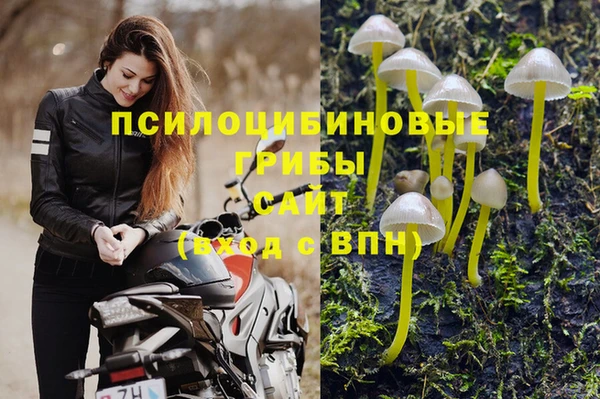 apvp Абаза