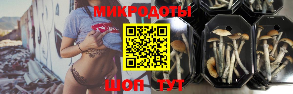 Псилоцибиновые грибы MAGIC MUSHROOMS  Вход с VPN  Губкин  Псилоцибиновые грибы GOLDEN TEACHER 